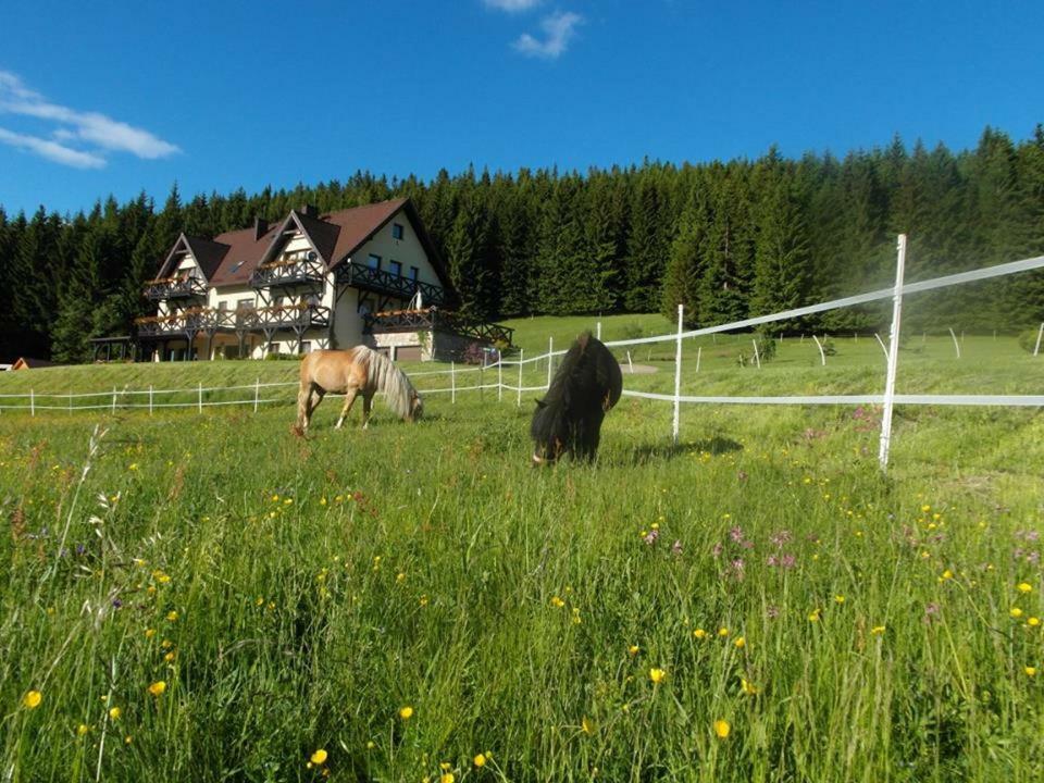 Wichrowe Wzgorze Stronie Śląskie